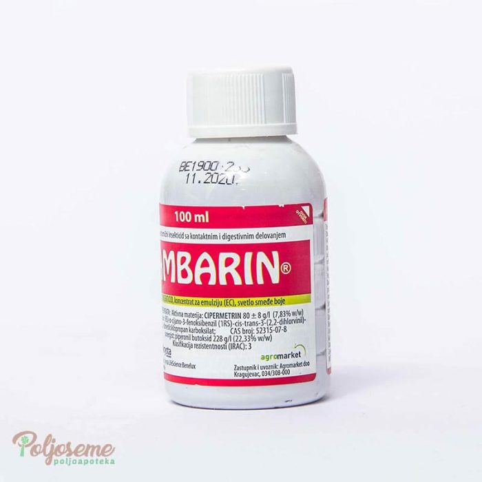 AMBARIN EC 100 ML (2).jpg
