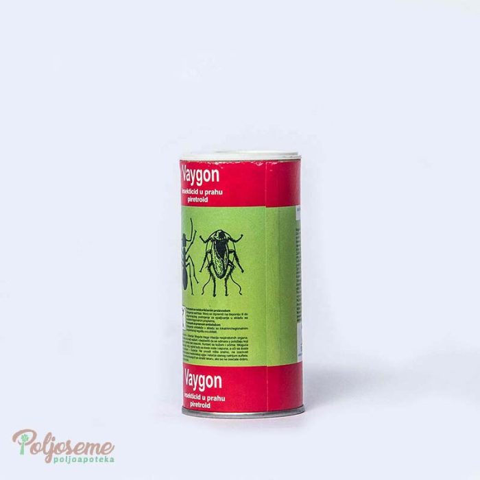 VAJGON 80 GR (2).jpg