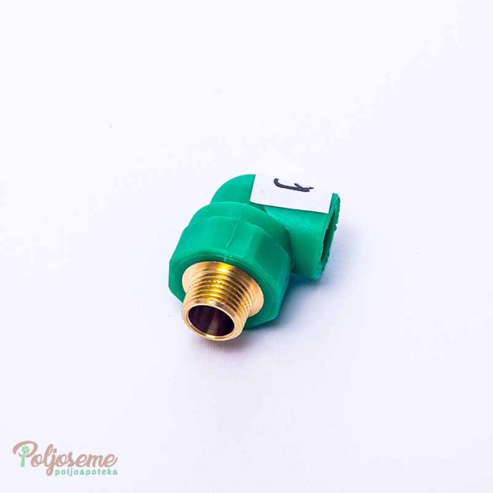 KOLENO SN f20.jpg