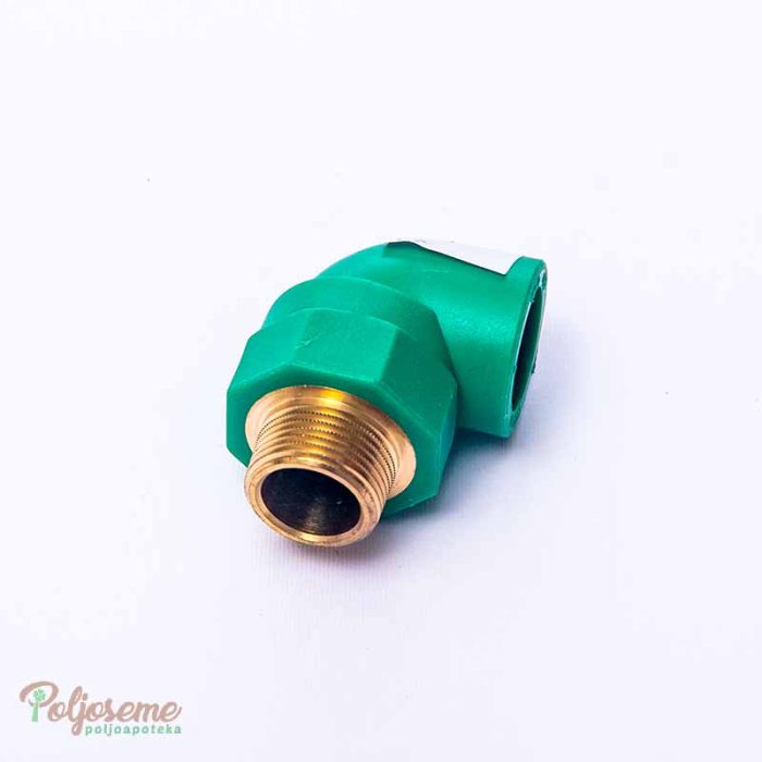 KOLENO SN f25.jpg