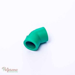P KOLENO f2545.jpg
