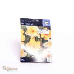 LUKOVICE NARCISSUS SLDOUBLE (1).jpg