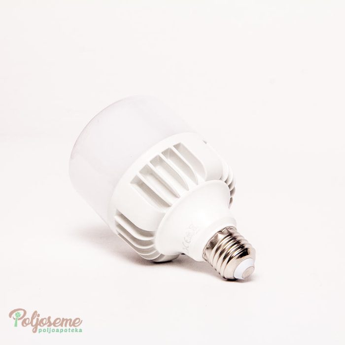 LED S22 HP 20W E27 6500 (1).jpg