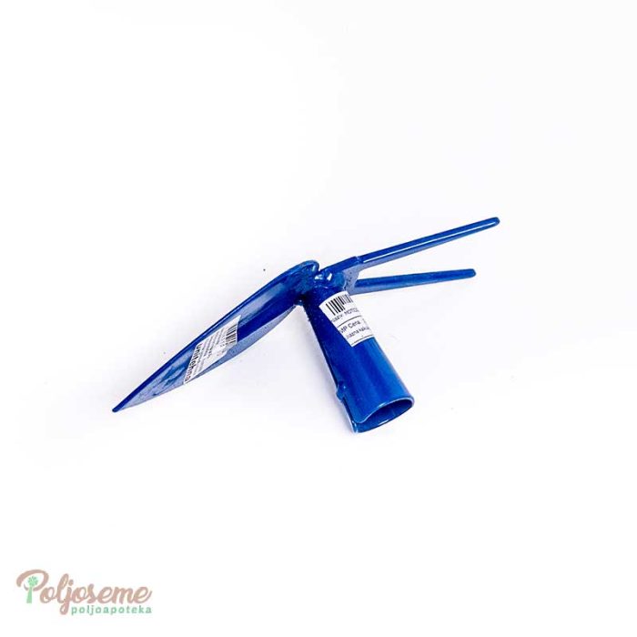 MOTICICA 2 ROGA (1).jpg