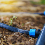 Instalacija sistema kap po kap za ukrasno bilje u bašti