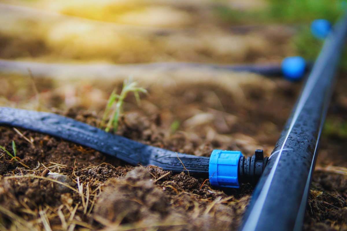 Instalacija sistema kap po kap za ukrasno bilje u bašti