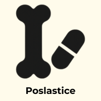 Ikonica pseće kosti i kapsule – poslastice i vitamini za pse