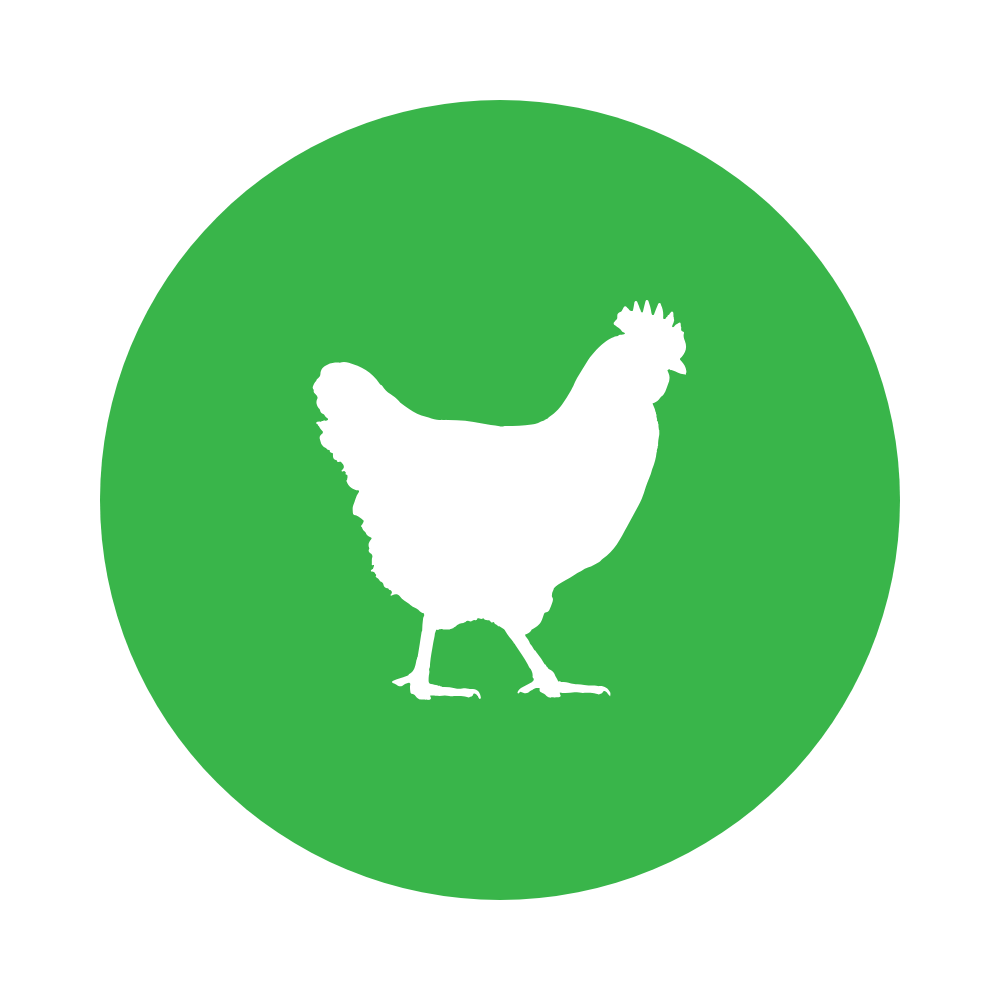 Vlažna hrana za mačke